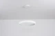 Люстра светодиодная подвесная Luminaria ERIKA 65W R485 WHITE с пультом - изображение 13