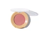 Румяна с глянцево-сатиновым финишем Paese Selfglow Satin-Illuminating - 03 Icon (3 g) - изображение 2