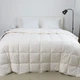 Одеяло «COTE BLANC» SILK, 155x200 - изображение 1