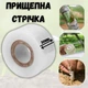 Прививочная лента прозрачная 30 мм 300 м - изображение 1