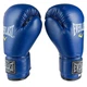 Боксерские перчатки Everlast 12 oz синие EVDX380-12B - изображение 1