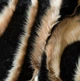 Покрывало плед Rockett St George Animal Swirl Faux Fur Throw (2х1.5м) - изображение 4
