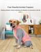 Пижама/попона для собак MOFESIPI Recovery Suit Pink&Grey S - изображение 2