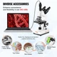 Цифровой микроскоп VEVOR XSP-36TV / 40X-5000X / White Б/В - изображение 4