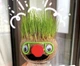 Набор для выращивания Grow Grass man Травянчик экокуб UFT GG01 - изображение 3