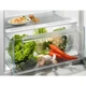 Холодильная камера Electrolux LRB3AE12S встраиваемая, 122x55х55, 207л, E, ST, белый - изображение 3