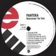 Pantera - Reinventing The Steel 2000/2012 (R1 62451) Rhino/EU Mint Виниловая пластинка (art.245473) - изображение 2