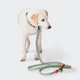 Біотановий повідець вільні руки для собак Cloud7 Hands-Free-Leash Ipanema М'ятний 1,6 - 2,6 м One Size - зображення 6