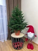 Искусственная елка литая Traditional в горшке, 90 см, зеленый, Н01023 - изображение 2