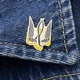 Значок Dobroznak Герб Сокіл (6331) - изображение 6