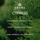 Віддушка CYPRESS 10 гр - для свічок, аромадифузорів, рум-спреїв - зображення 2