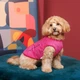 Борцовка Kale ТМ Pet Fashion для собак S малина - изображение 4
