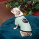 Футболка для собак Pet Fashion Oscar голубая с принтом размер XS2 (MLZ11460) - изображение 4