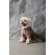 Костюм Pet Fashion Alf для собак бежевий XS2 - зображення 7