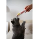 Мультивітамінна паста GimCat Every Day Extra для котів, 200 г - зображення 4