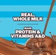 Шоколадное молоко Feastables Protein Fortified Chocolate Milk 236 мл - изображение 3
