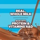 Шоколадное молоко Feastables MrBeast Protein Fortified Chocolate Milk 414мл - изображение 3