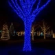 Гирлянда Рождественская фея уличная 100 (м) 1000 LED черный провод Синий CF1000L100MBBL - изображение 2