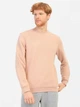Свитшот мужской ROZA 210542 3XL Песчаник (4824005660832) - изображение 1