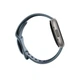 Смарт-годинник Fitbit Versa 4 Waterfall Blue/Platinum (FB523SRAG) - зображення 6