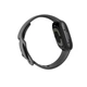 Смарт-годинник Fitbit Sense 2 Shadow Grey/Graphite (FB521BKGB) - зображення 3