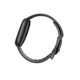 Смарт-годинник Fitbit Sense 2 Shadow Grey/Graphite (FB521BKGB) - зображення 6
