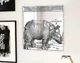 Дизайнерське дзеркало з гравюрою Альбрехта Дюрера "Носоріг. Rhinoceros" вінтажна прикраса інтер'єру спальні - зображення 1