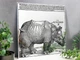Дизайнерське дзеркало з гравюрою Альбрехта Дюрера "Носоріг. Rhinoceros" вінтажна прикраса інтер'єру спальні - зображення 5