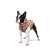 Куртка для собак Collar WAUDOG Clothes малюнок "Авокадо на рожевому" XS25, А 23-25 В 37-40 см, С 24-27 см (4823089371993) (402-4051collar) - изображение 3