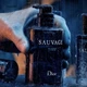 Чоловічий гель для душу Christian Dior Sauvage (250 мл) - зображення 2