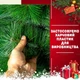 Сертифицированная сосна искусственная пушистая Кармен YaLINKA K21 210 см с высококачественного безвредного огнеупорного материала Зеленая (90534716) - изображение 5