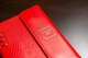 Планировщик BogushBook серии Комфорт модель «Кармен» (красный) - изображение 2