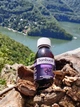 Sambucol Original Liquid 120 мл сироп Самбукол Оригинальная черная бузина от 3 лет - изображение 10