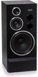 Акустичні колонки Tonsil Altus 200 Black (1-Pack) - изображение 1