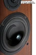 Акустичні колонки Tonsil Fenix II Sat Nut - изображение 2