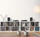 Акустичні колонки Dynaudio Emit 20 Walnut - изображение 5