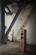 Акустичні колонки Dynaudio Evoke 30 Nut - изображение 4