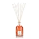 Аромадифузор Dr. Vranjes Fuoco 250 ml Fragranza Ambiente (FRV0003C) - зображення 1