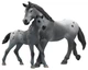 Набір фігурок Schleich Horse Club Турнірне тренування Лізи 42776 (4069111194844) - зображення 4