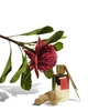 Духи унисекс Goldfield & Banks Australia Island Lush 100 мл - изображение 4