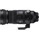 Длиннофокусный объектив Sigma AF 150-600mm f/5-6.3 DG DN OS S (Sony-E) - изображение 1