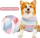 Костюм для восстановления собак WanTalk Striped Recovery Suit, Pink, XL - изображение 5