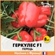 Французьке насіння Clause Перець Геркулес F1, 8 шт - зображення 1