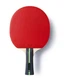 Ракетка для настольного тенниса Butterfly Ovtcharov Expert FL (6116700002) (931838) - изображение 2