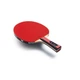 Ракетка для настольного тенниса Butterfly Team Champion FL (6256800002) (931840) - изображение 2