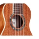 Укулеле Cordoba 15SM - изображение 6