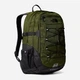Рюкзак спортивний тканинний вміщує формат А4 The North Face Borealis NF00CF9CDIW1 Зелений (800070347592) - зображення 1