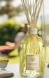 Аромадифузор Dr. Vranjes Ginger Lime 500 ml Fragranza Ambiente (FRV0014D) - зображення 4