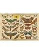 Пазли INTERDRUK тришарові Vintage Nature 1, 2000 шт. (385031) - зображення 3