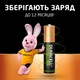Акумулятор DURACELL HR03/ААА Ni-Mh 900mAh 4bl - изображение 5